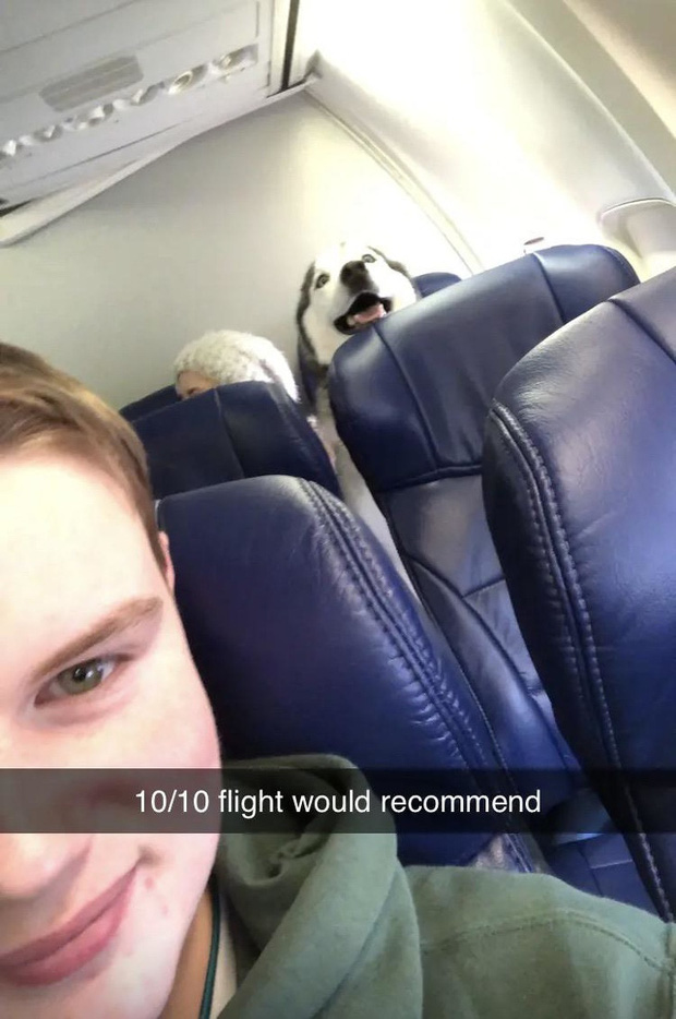 The most unique images on the plane that passengers have ever taken: Bet you have not seen more than half! Picture 6