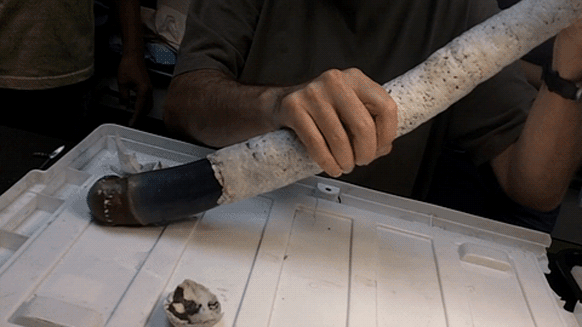 The mystery of a giant 1.5-meter-long worm eating both hydrogen sulfide and rotten gas Picture 1