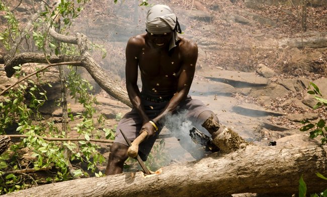 The mystery of how people and birds communicate Picture 2