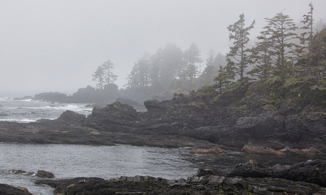 The mystery of no solution, 16 feet of people drifting to the coast for 10 years scared many people Picture 2