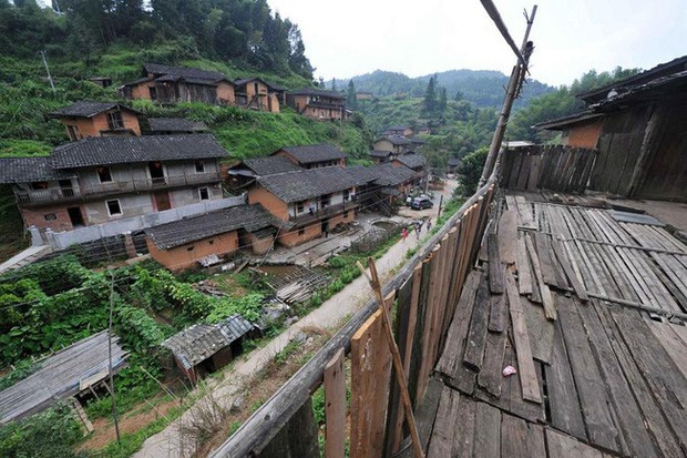 The mystery so far has not been answered: A mountain village has not had a mosquito daring in the last 100 years. Picture 1