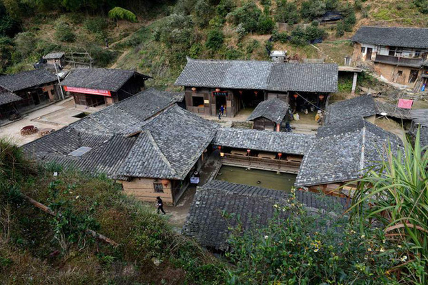 The mystery so far has not been answered: A mountain village has not had a mosquito daring in the last 100 years. Picture 2