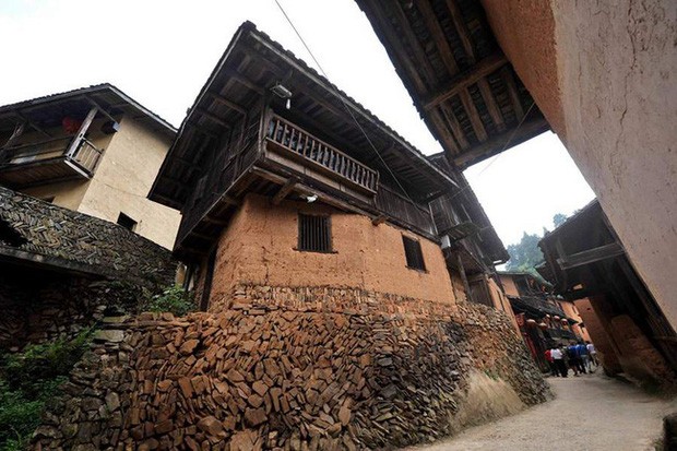 The mystery so far has not been answered: A mountain village has not had a mosquito daring in the last 100 years. Picture 3