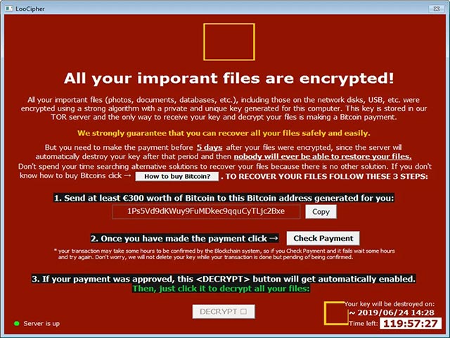 The official LooCipher ransomware decoder has been released, helping you to retrieve data completely free Picture 1