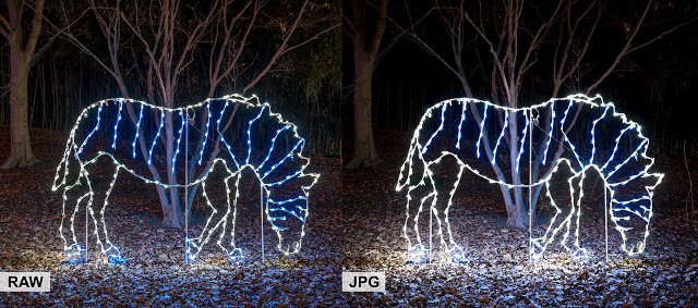 The photography tips you can apply during the Christmas season Picture 11