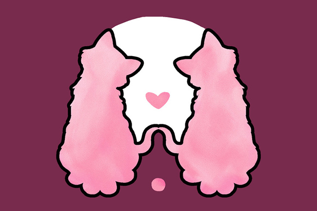 The pictures reveal your attitude in love Picture 3