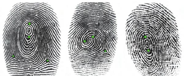 The researchers successfully developed capacitive image sensors with high resolution and sensitivity Picture 3