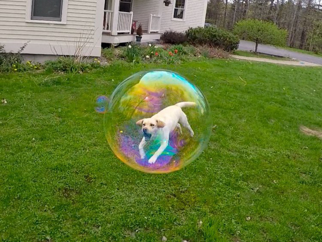 The same coincidence moment to surprise Picture 16