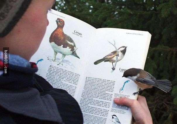 The same coincidence moment to surprise Picture 27