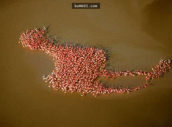 The same coincidence moment to surprise Picture 32