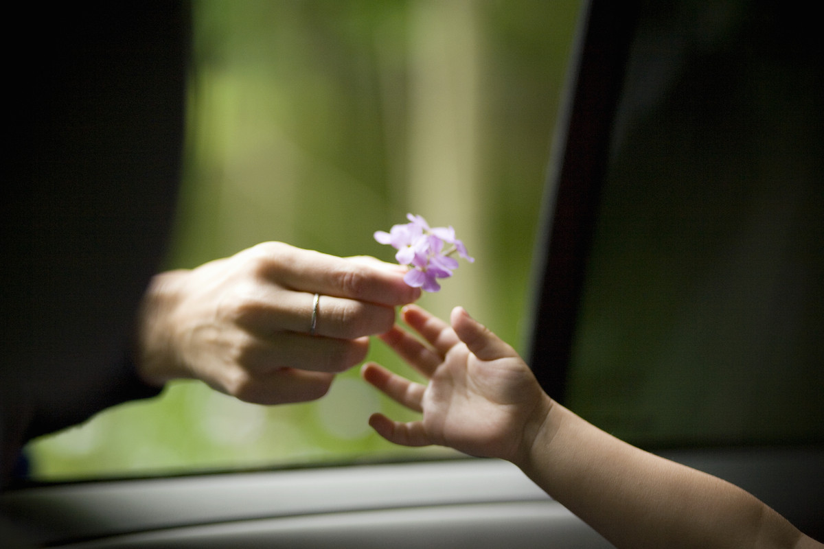 The secret of a meaningful life lies only in these 7 words Picture 10