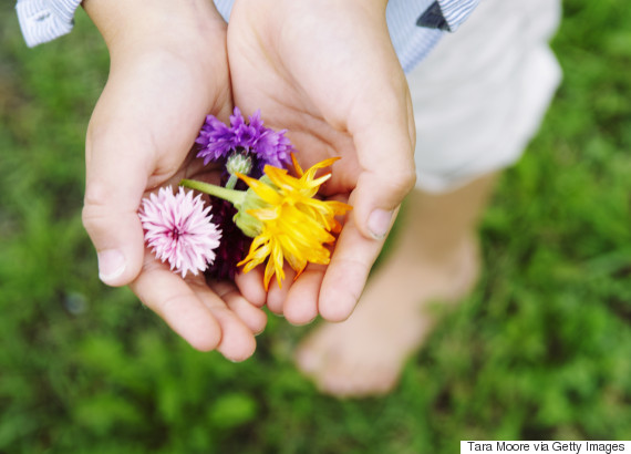 The secret of a meaningful life lies only in these 7 words Picture 6