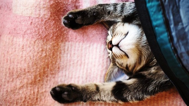 The secret to getting things done when you're not interested in yourself Picture 3