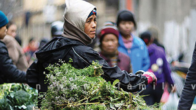 The sense of custom of smelling leaves on the afternoon of 30 Tet Picture 2