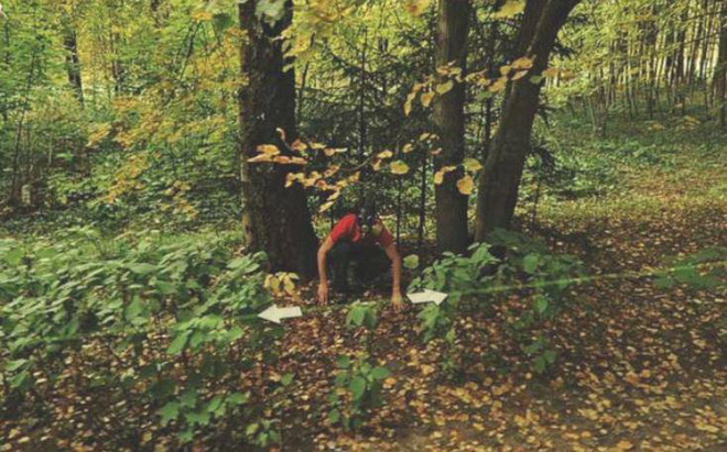 The series of funny photos that Google Maps has recorded across the world streets Picture 17