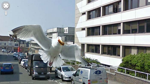The series of funny photos that Google Maps has recorded across the world streets Picture 27