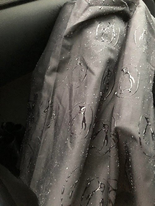 The series of photos proving the world has so many strange things that we have never known Picture 11