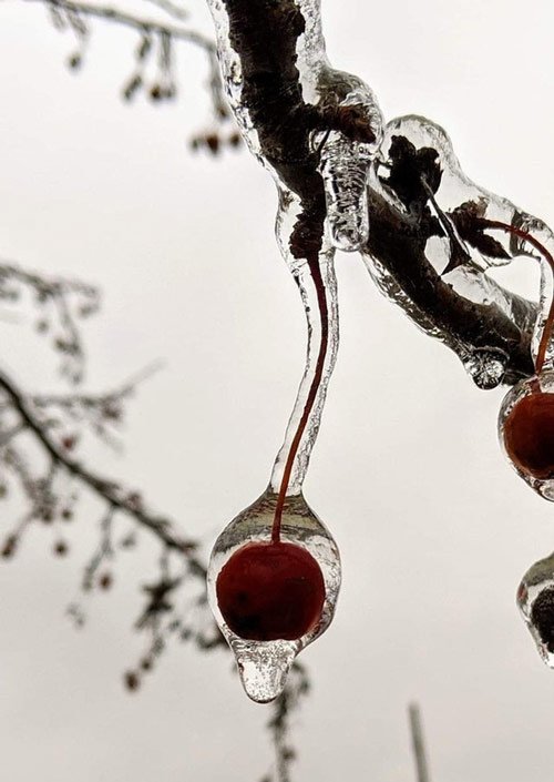 The series of photos proving the world has so many strange things that we have never known Picture 7