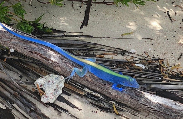 The series of pictures revealing the wonders of nature not everyone has the opportunity to admire Picture 10