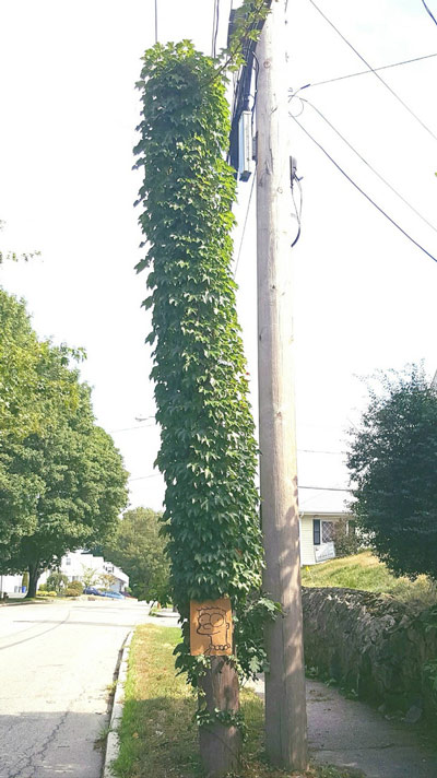 The series of pictures revealing the wonders of nature not everyone has the opportunity to admire Picture 11