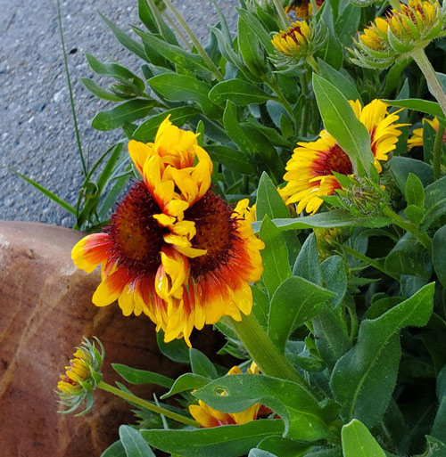 The series of pictures revealing the wonders of nature not everyone has the opportunity to admire Picture 7