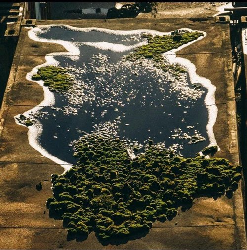 The series of pictures showing the world filled with wonders, the imagination of people is far from catching up Picture 8