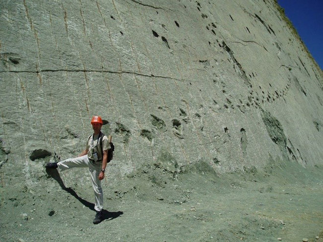 The stone wall imprinted over 5000 giant dinosaur footprints in Bolivia Picture 3