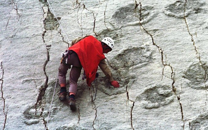 The stone wall imprinted over 5000 giant dinosaur footprints in Bolivia Picture 5