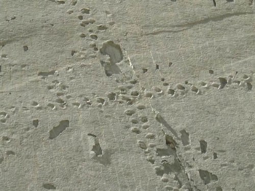 The stone wall imprinted over 5000 giant dinosaur footprints in Bolivia Picture 6