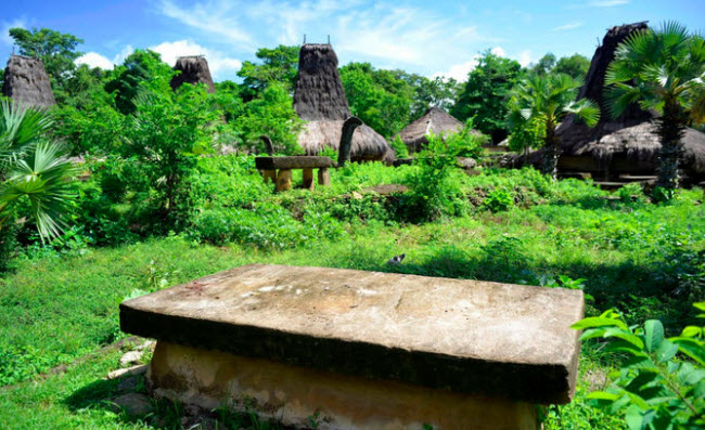 The strange island values ​​the dead more than the living Picture 3