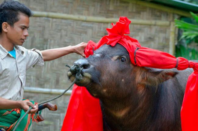 The strange island values ​​the dead more than the living Picture 7