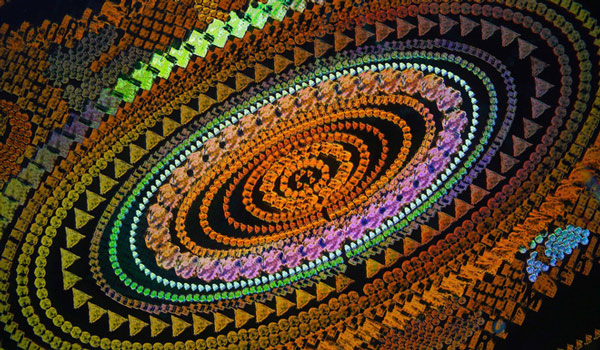 The stunning beauty of the small world under the microscope through Nikon Small World Photomicrography winning photos 2018 Picture 9