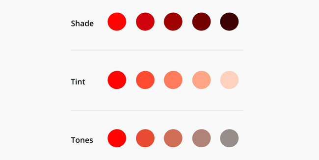 The Terminology Of Color, Wheel Color And Skill Used To Color 