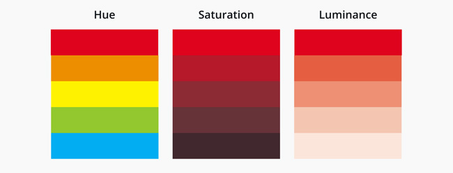 The terminology of color, wheel color and skill used to color Picture 23