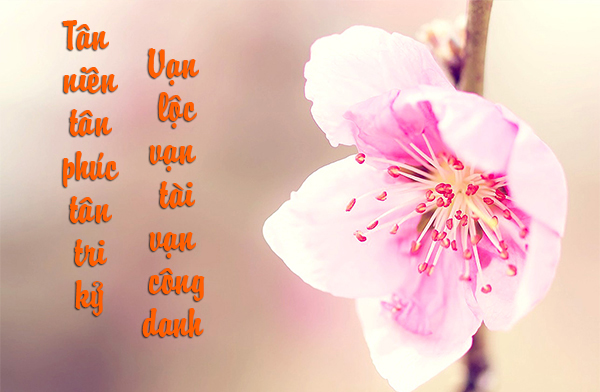 The Tet Holiday cards are not to be missed Picture 17