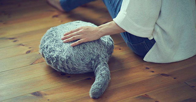 The therapeutic robot, Qoobo cat only knows one thing to wag its tail Picture 1