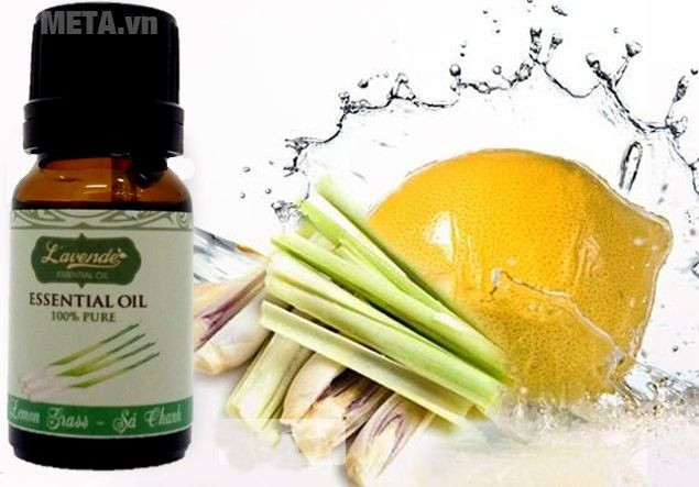 The tips to help your home are always dry and dry when it is sunny Picture 9