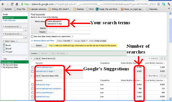 The top free tools for SEO people from Google Picture 3
