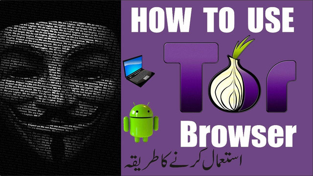 The truth about Darkweb's origin Picture 3