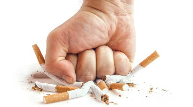 The type of fruit is considered a 'medicinal god' in the US but is wasted by Vietnamese people Picture 6