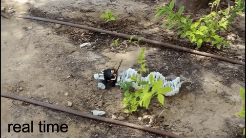 The world's first terrain-crossing robot can move like a snake Picture 2