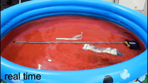 The world's first terrain-crossing robot can move like a snake Picture 3