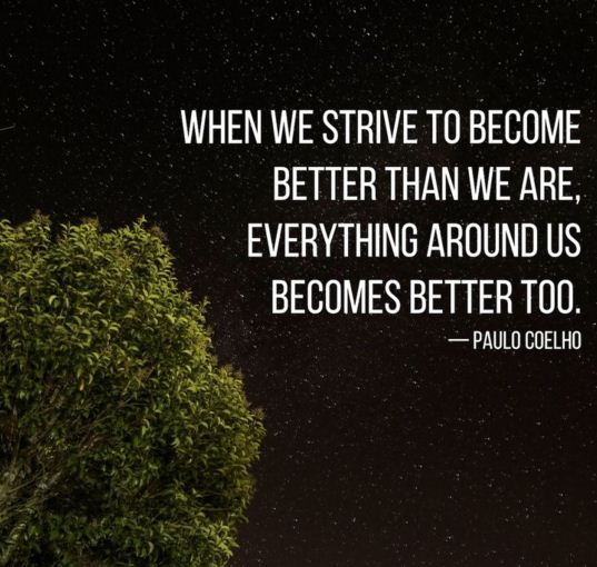 The writer Paulo Coelho's 15 sentences will change your life Picture 2