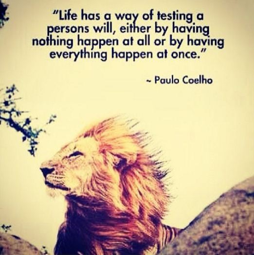 The writer Paulo Coelho's 15 sentences will change your life Picture 3