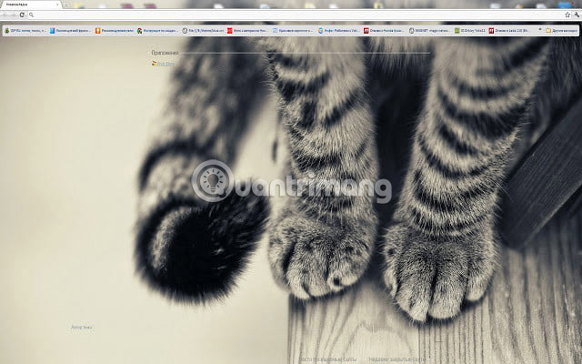 Theme Library for Google Chrome Picture 14