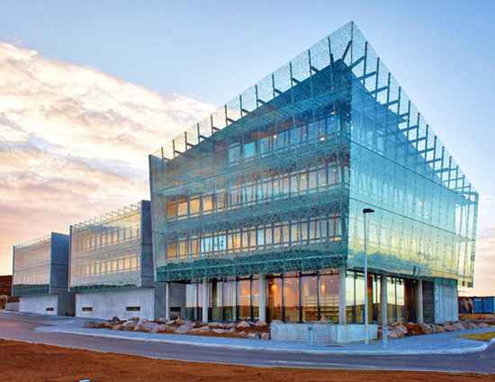 There are no mosquitoes in Iceland, the only one has been soaked in alcohol and put into a museum Picture 2