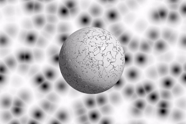 There is evidence that confirms the existence of a fifth force, which can reverse the physics we still know Picture 1