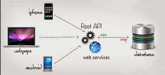 These programming languages ​​for the best mobile application development Picture 13