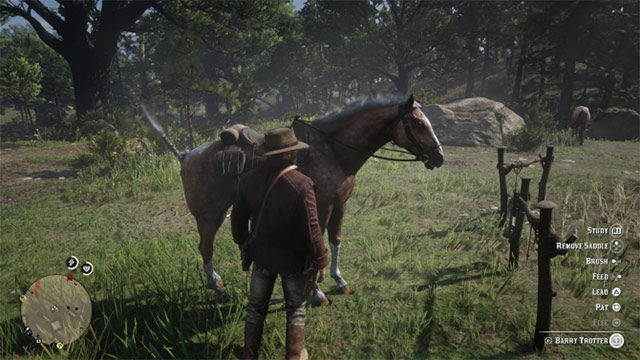 These tips help you conquer Red Dead Redemption 2 Picture 5
