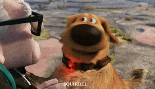 Things were killed by iPhone in the past 7 years Picture 8